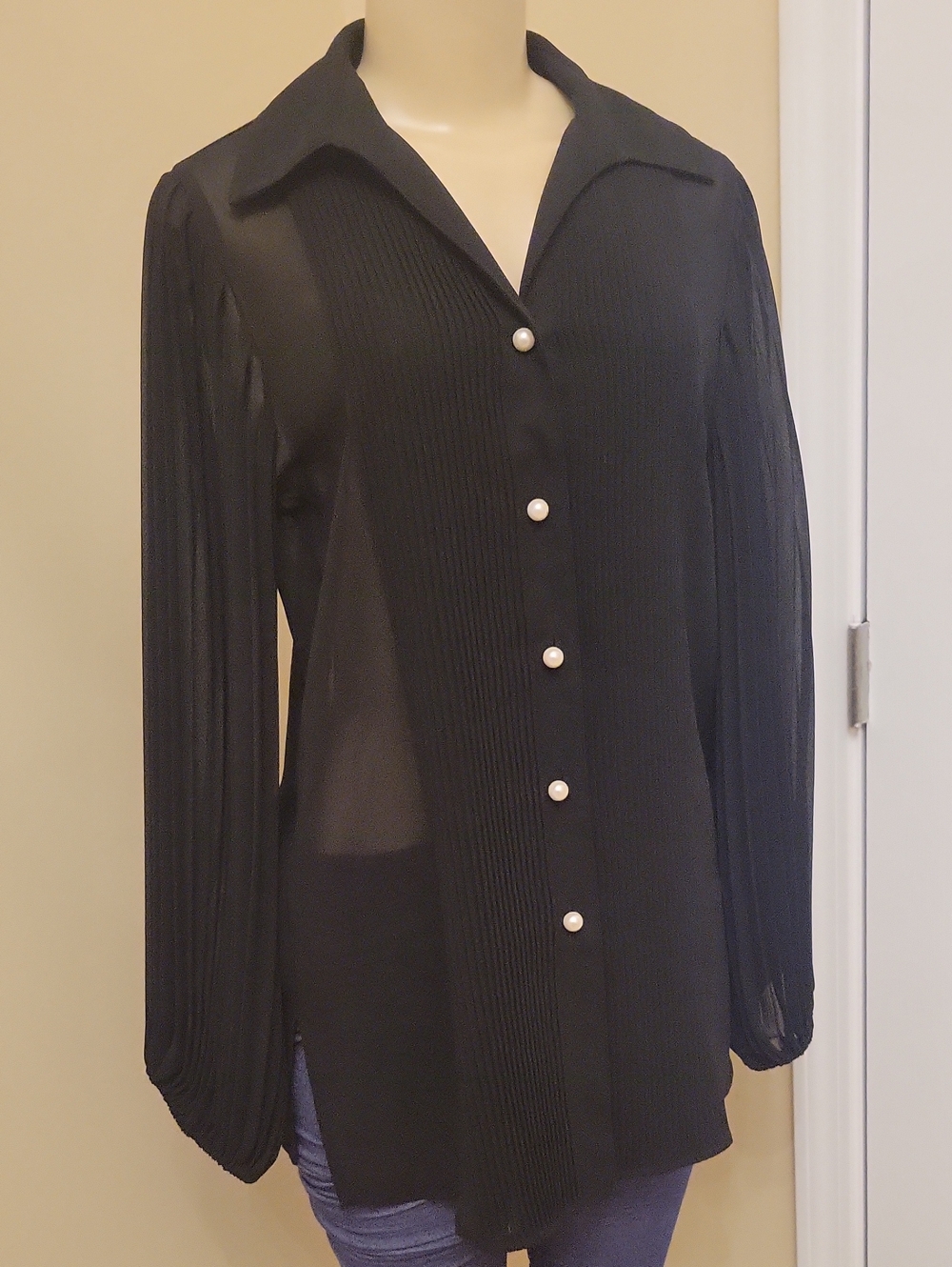 Sheer Blouse